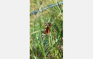 2025-05-14 St Sorlin