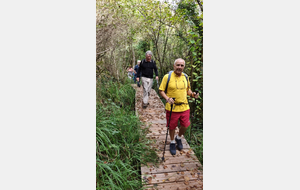 2025-10-08 Bénonces