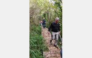 2025-10-08 Bénonces