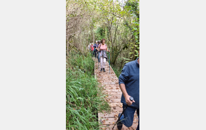 2025-10-08 Bénonces