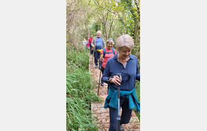 2025-10-08 Bénonces