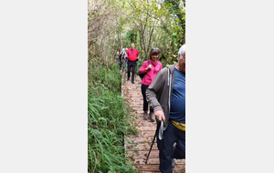 2025-10-08 Bénonces