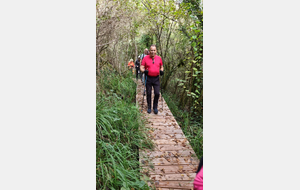 2025-10-08 Bénonces