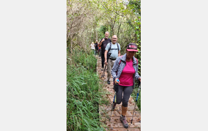 2025-10-08 Bénonces