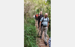 2025-10-08 Bénonces