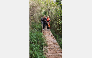 2025-10-08 Bénonces