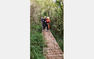 2025-10-08 Bénonces