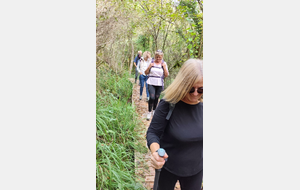 2025-10-08 Bénonces