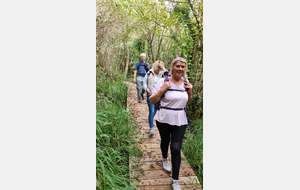 2025-10-08 Bénonces