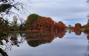 2025-10-29 cascade de la roche