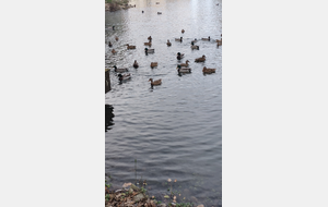 2025-11-12 Parc de Lagnieu