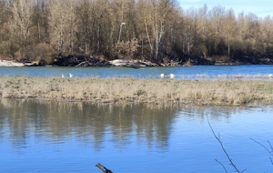 2026-02-04 La Riveraine