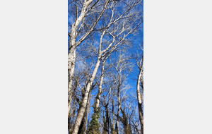 2026-02-04 La Riveraine