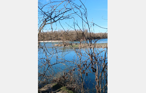 2026-02-04 La Riveraine