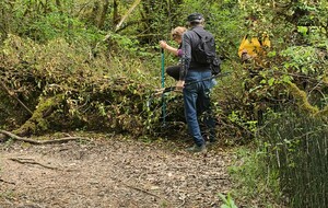 2026-04-15- Flévieu- Malarage