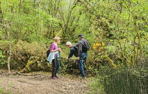 2026-04-15- Flévieu- Malarage