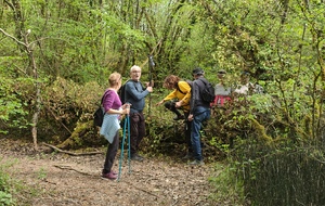 2026-04-15- Flévieu- Malarage