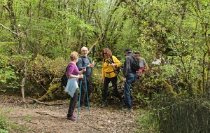 2026-04-15- Flévieu- Malarage