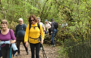 2026-04-15- Flévieu- Malarage