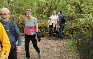 2026-04-15- Flévieu- Malarage