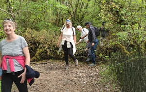 2026-04-15- Flévieu- Malarage