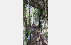 2026-04-15- Flévieu- Malarage