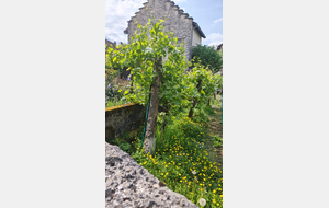 2026-04-26 Sentier des Bigues