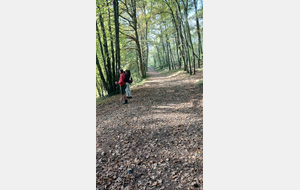 2026-10-14 Bettant