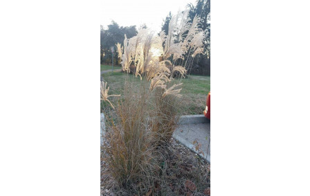 2025-12-17 St Vulbas