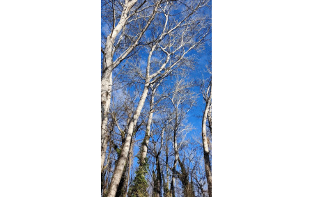 2026-02-04 La Riveraine