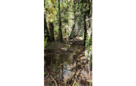 2026-04-15- Flévieu- Malarage