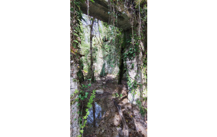 2026-04-15- Flévieu- Malarage